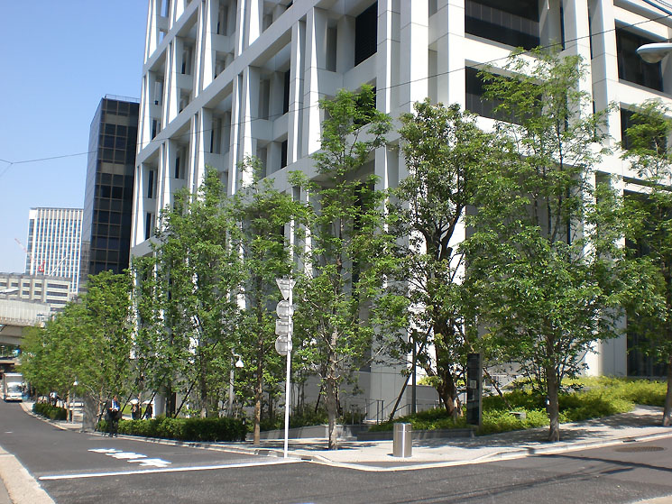 AKASAKA K-TOWER 植栽