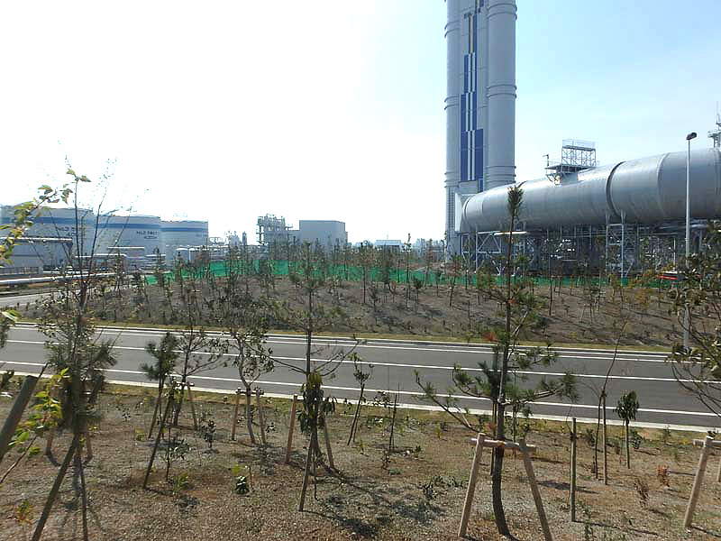 川崎火力発電所 植栽