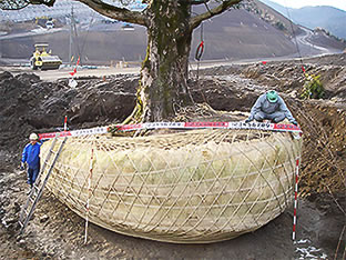 掘取作業