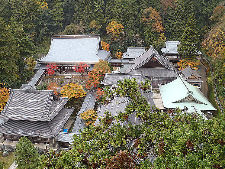 曹洞宗総本山永平寺境内林 巨木の倒木危険度診断対策工事